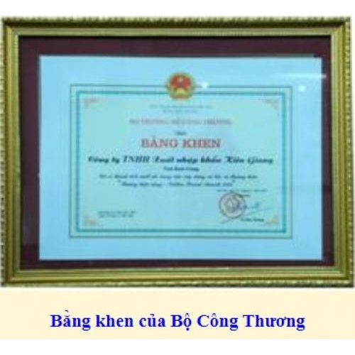 Thành tích công ty đạt được qua các năm từ 2000 - 2009